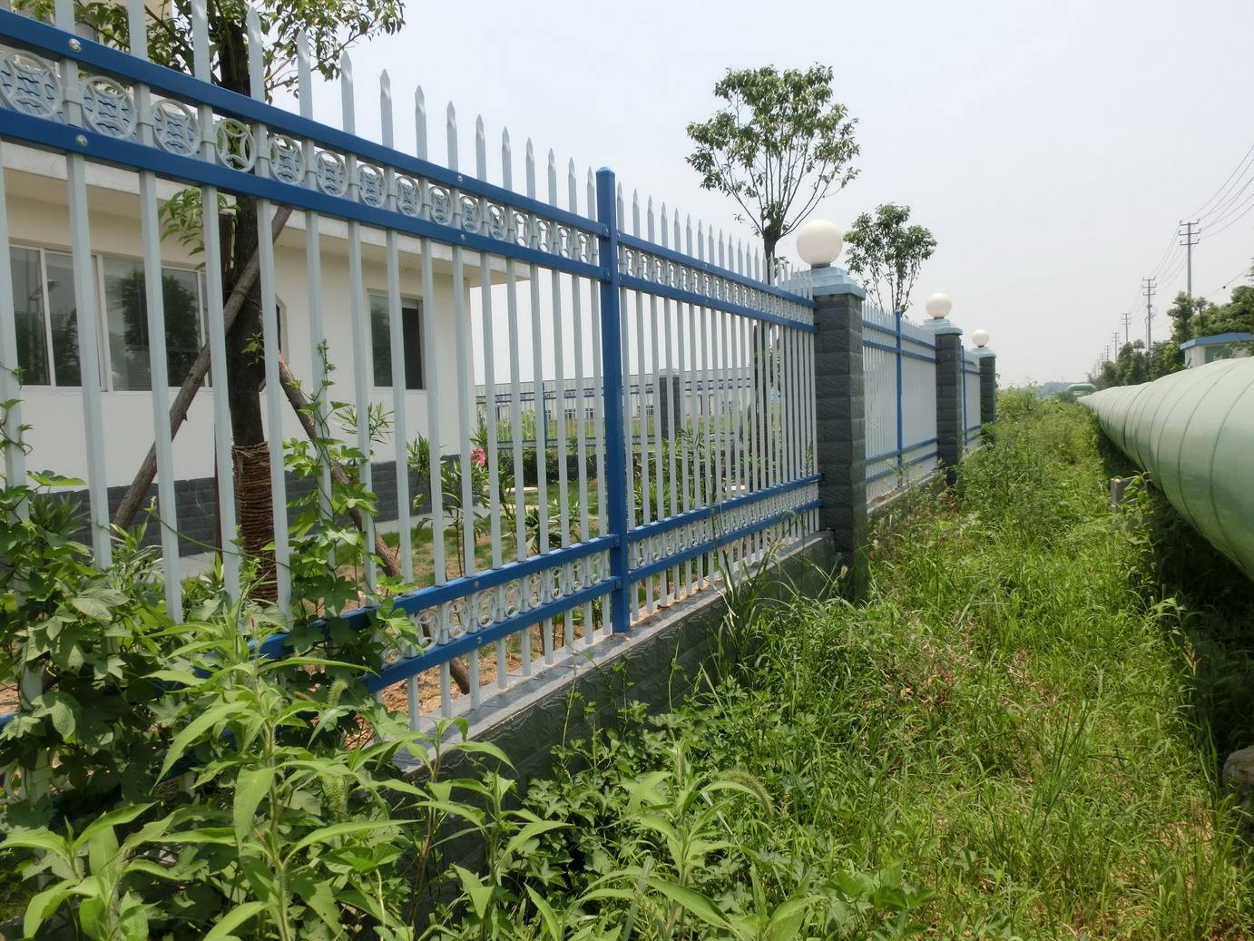 5555.jpg